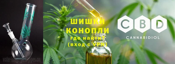 ALPHA PVP Иннополис