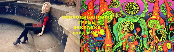 таблы Инта