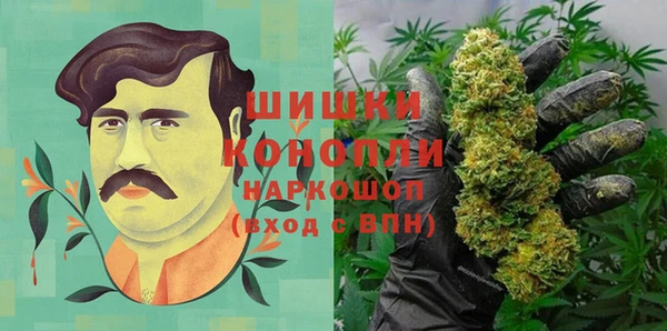 ALPHA PVP Иннополис