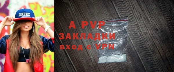 ALPHA PVP Иннополис
