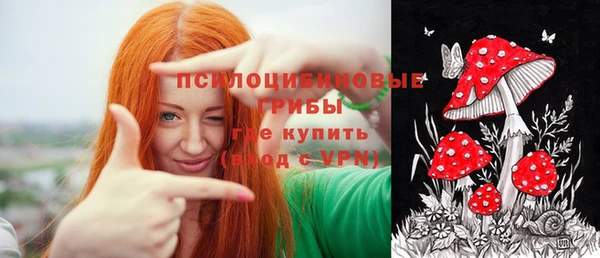ALPHA PVP Иннополис