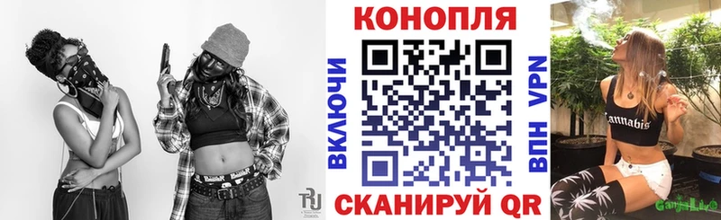 Каннабис планчик  продажа наркотиков  Сортавала 